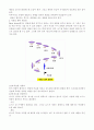 윈드서핑 5페이지