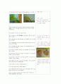 the very hungry caterpillar 2페이지