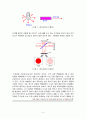 레이저[Laser] 4페이지