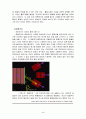 레이저[Laser] 44페이지