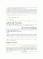 환타의 마케팅 및 광고 전략 평가 6페이지