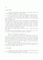 러시아 민속공예와 이콘 7페이지