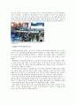 한-미 FTA, 거대시장 진출을 위한 절호의 기회 14페이지