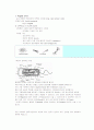 미생물의 운동성 4페이지