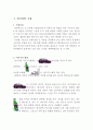 영상이미지의 이해 2페이지