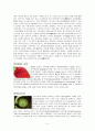 파이토케미컬 ( Phytochemical) 연구 5페이지