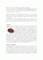 파이토케미컬 ( Phytochemical) 연구 6페이지