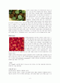 파이토케미컬 ( Phytochemical) 연구 7페이지
