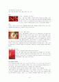 파이토케미컬 ( Phytochemical) 연구 11페이지
