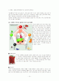파이토케미컬 ( Phytochemical) 연구 16페이지