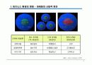 eCRM 최근 이슈 (발표자료) 5페이지