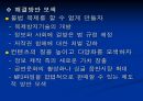 (p2p 문제) 프루나 (P2P)에 대한 이해와 다양한 문제점 및 해결방안 제언 13페이지