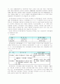 자치경찰제의 도입논의 및 법안설명 4페이지
