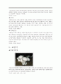 충남의 특산물 조사 6페이지