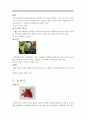 충남의 특산물 조사 7페이지