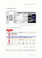 위성 DMB의 현재와 미래에 대한 조명 2페이지