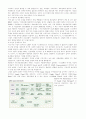 SCM의 개요 30페이지