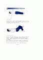 보건교육(산후조리) 8페이지