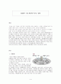 SCM이 기업 환경에 미치는 영향 1페이지
