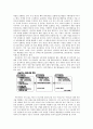 교토의정서의 발효와 우리의 대책 4페이지