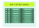인터넷마케팅사례-세이클럽 21페이지
