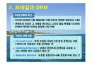 DRM 비즈니스와 최근 이슈 4페이지