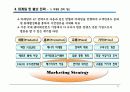 국내 연예인 FIGURE(실물 인형)의 일본 유통사업 가능성 12페이지