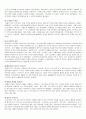 일본 오키나와 지역 문화 2페이지