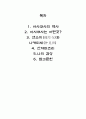 일본 아사쿠사 지역 문화 연구 1페이지