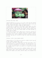 (마케팅 사례) 베니건스의 외식산업 시장 선두 탈환을 위한 마케팅 전략 분석 (stp, 4p, swot 포함) 27페이지