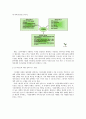 환경경영 전략과 국내기업의 환경경영 확산전략 10페이지