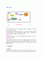 싸이월드 마케팅 성공 사례 분석 14페이지