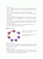 대웅제약의 ERP도입 사례분석 8페이지