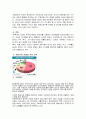 [NHN기업분석]네이버(naver) 경영전략 분석 16페이지