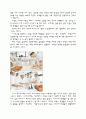 프랑스 학교와 교육제도 5페이지