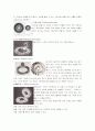 기어(Gear)의 종류 3페이지