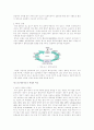21세기 목재 목재의 최첨단 이용기술조사 13페이지