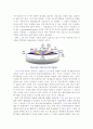 산업공동화의 발생원인과 영향 그리고 대응방안 13페이지