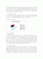 연세우유의 사활을 건 마지막 마케팅 전략 성공 사례분석 (STP, 4P 등 포함) 13페이지