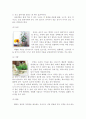 생활원예장식의 종류와 방법 2페이지