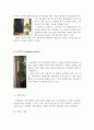 생활원예장식의 종류와 방법 3페이지