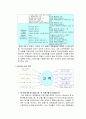 아시아나 항공사의 광고 마케팅 기획서(상황 분석, 기본 전략 단계, 크리에이티브 전략, 매체 전략) 24페이지