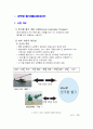 헬리콥터 , 한국형 헬기개발사업 2페이지