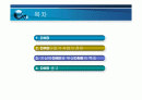 DMB 시대의 광고전망 2페이지