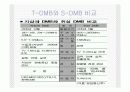 DMB를 이용한 광고와 시장전망 7페이지