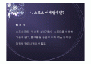 스포츠 마케팅 : 월드컵을 이용한 기업마케팅 2페이지