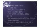 스포츠 마케팅 : 월드컵을 이용한 기업마케팅 4페이지