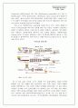 미국최대철강회사 - NuCor(뉴코) 6페이지