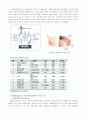 CJ엔트테인먼트 다각화 전략(수직.수평통합.관련다각화) 18페이지
