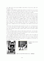 일본 작가 미시마유키오 (생애, 연보, 작품, 해석) 3페이지